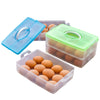 Egg Food Container Storage