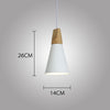 Modern Wood Pendant Lights