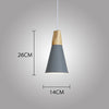 Modern Wood Pendant Lights